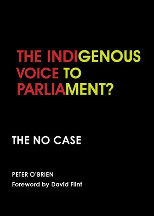 Theindigenousvoicetoparliament